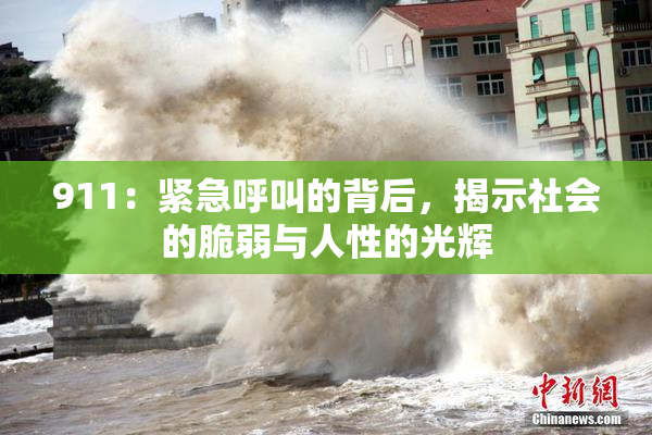 911：紧急呼叫的背后，揭示社会的脆弱与人性的光辉