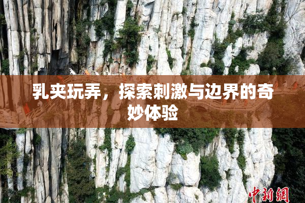 乳夹玩弄，探索刺激与边界的奇妙体验