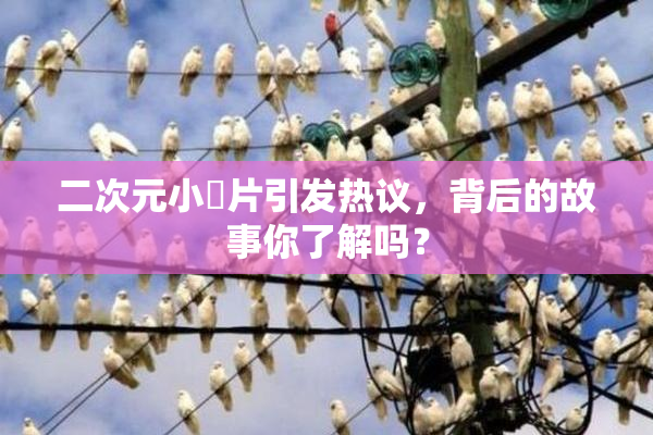 二次元小黃片引发热议，背后的故事你了解吗？