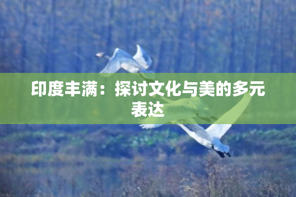 印度丰满：探讨文化与美的多元表达