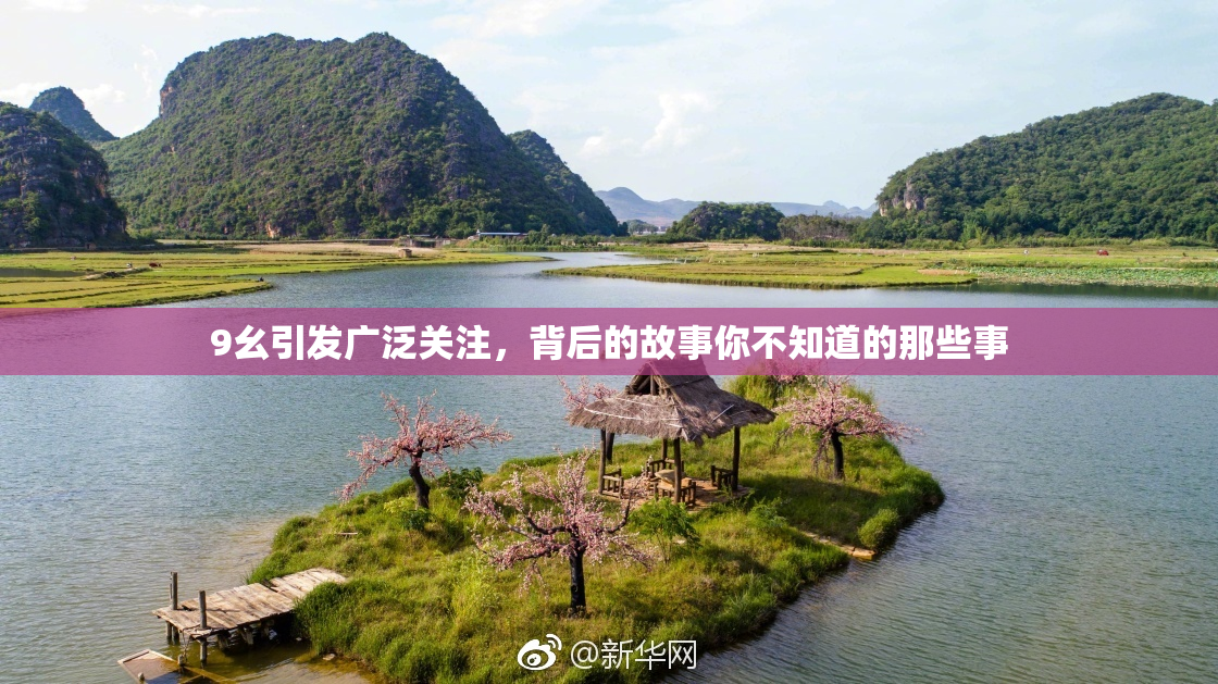 9幺引发广泛关注，背后的故事你不知道的那些事