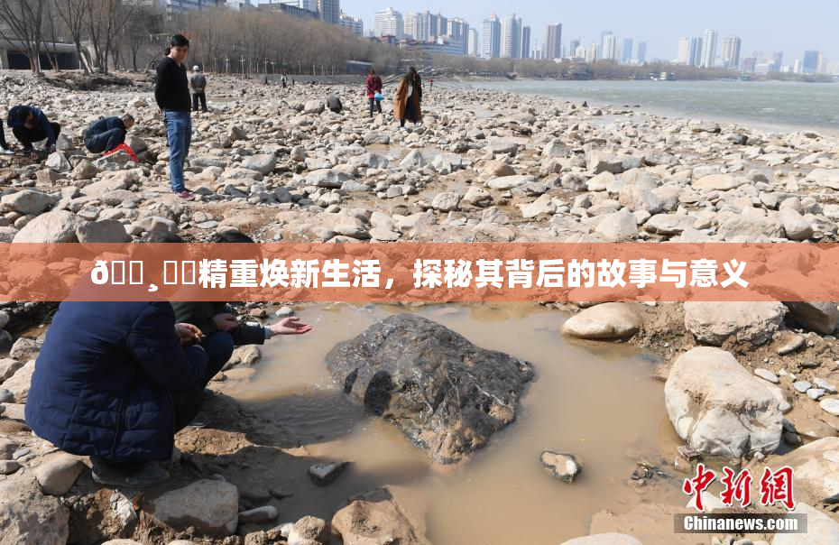 🌸‌✿精重焕新生活，探秘其背后的故事与意义