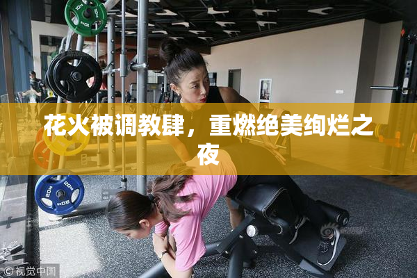 花火被调教肆，重燃绝美绚烂之夜