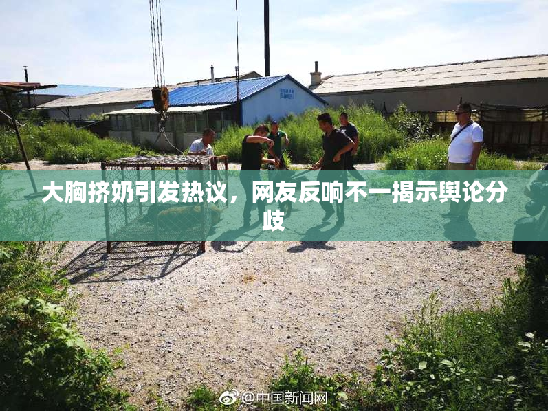 大胸挤奶引发热议，网友反响不一揭示舆论分歧