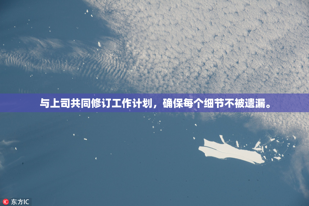 与上司共同修订工作计划，确保每个细节不被遗漏。