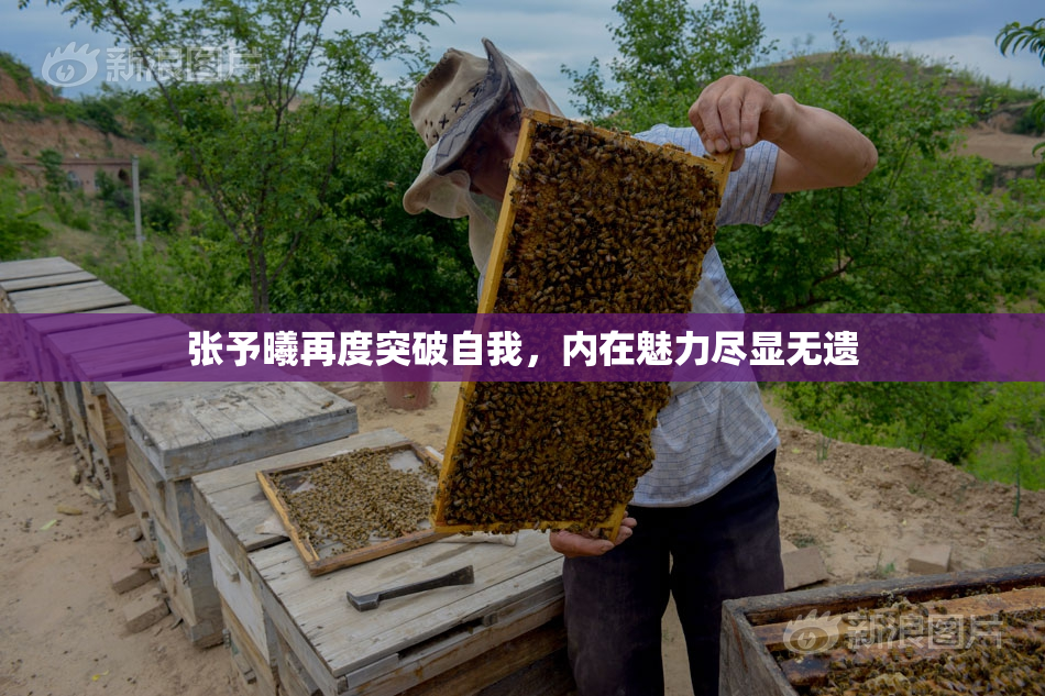 张予曦再度突破自我，内在魅力尽显无遗