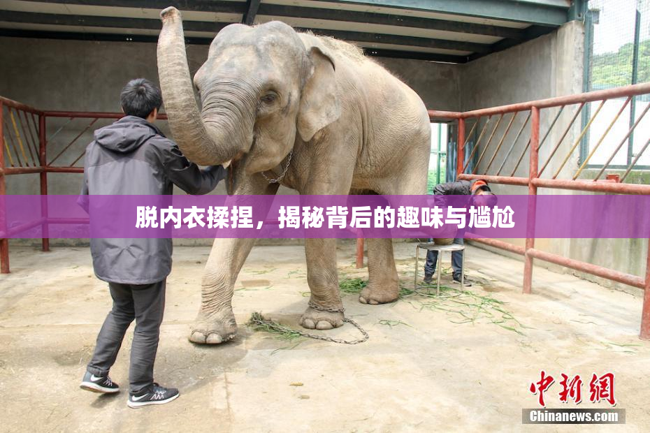 脱内衣揉捏，揭秘背后的趣味与尴尬