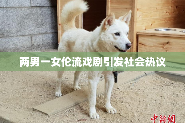 两男一女伦流戏剧引发社会热议
