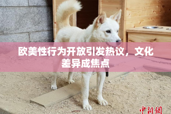 欧美性行为开放引发热议，文化差异成焦点