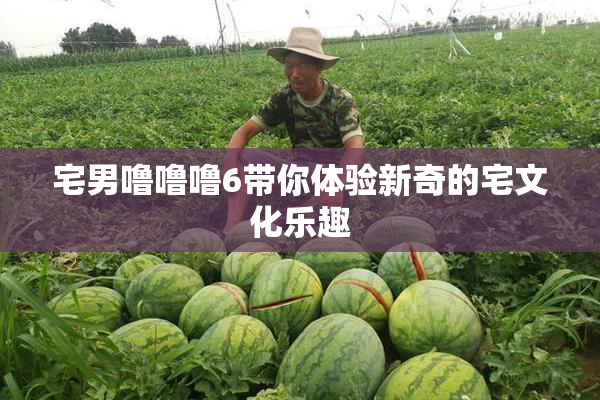 宅男噜噜噜6带你体验新奇的宅文化乐趣