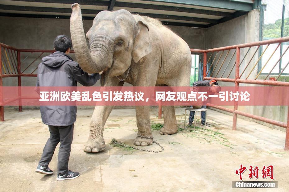 亚洲欧美乱色引发热议，网友观点不一引讨论