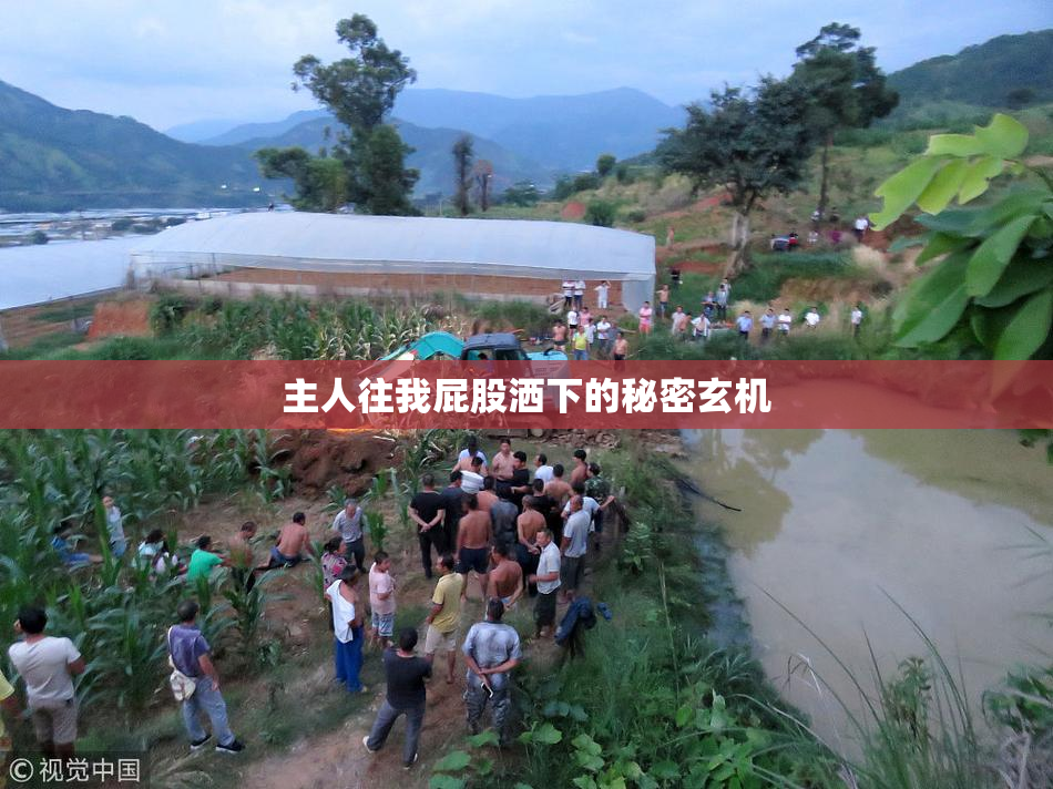 主人往我屁股洒下的秘密玄机