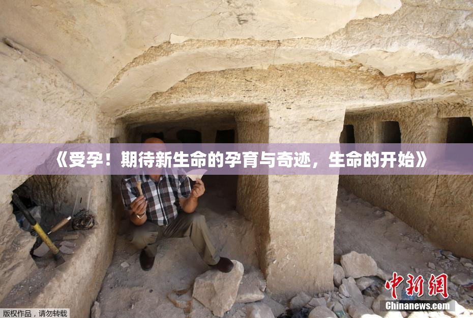 《受孕！期待新生命的孕育与奇迹，生命的开始》
