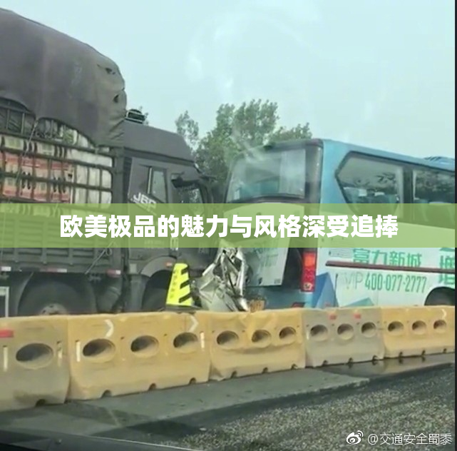 欧美极品的魅力与风格深受追捧