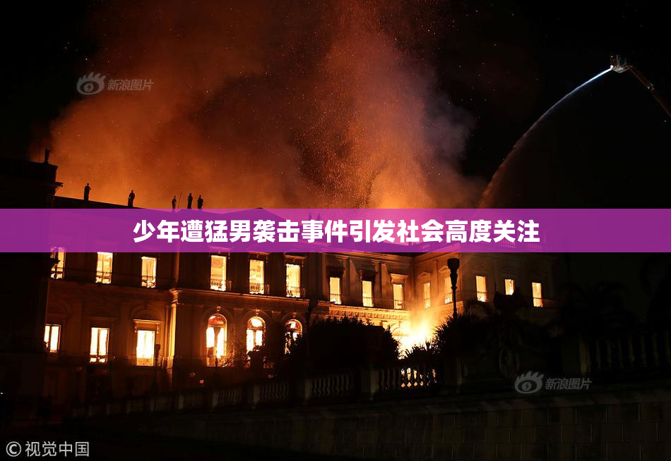 少年遭猛男袭击事件引发社会高度关注