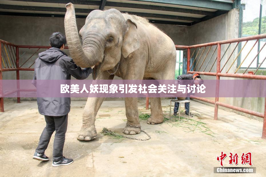 欧美人妖现象引发社会关注与讨论