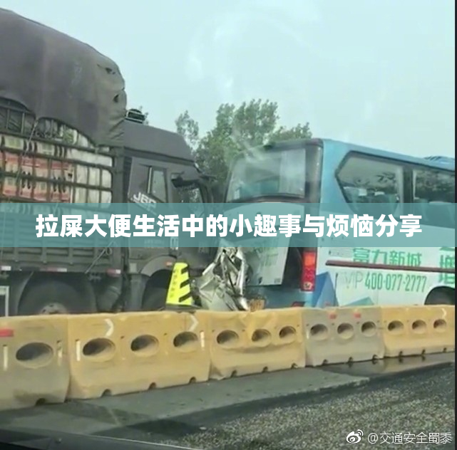 拉屎大便生活中的小趣事与烦恼分享