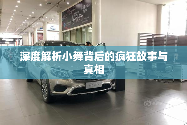 深度解析小舞背后的疯狂故事与真相