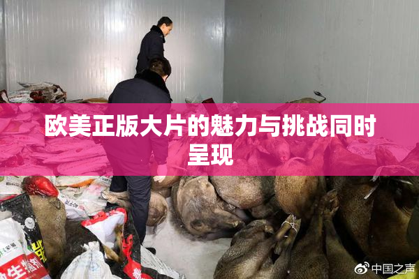 欧美正版大片的魅力与挑战同时呈现