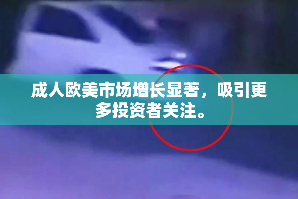成人欧美市场增长显著，吸引更多投资者关注。