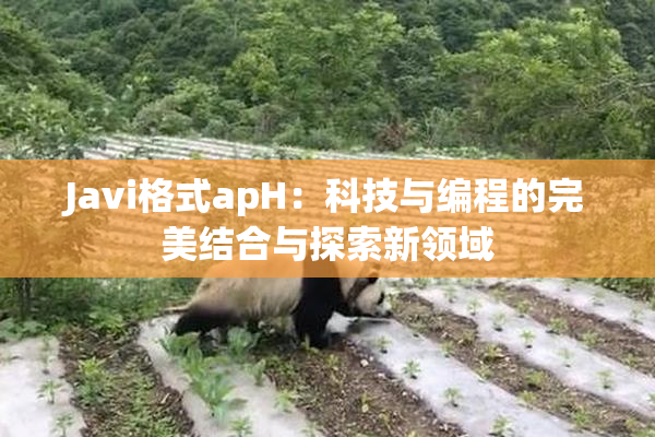 Javi格式apH：科技与编程的完美结合与探索新领域