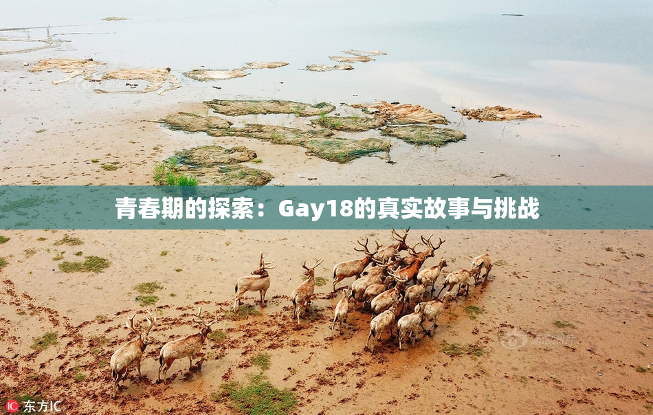 青春期的探索：Gay18的真实故事与挑战