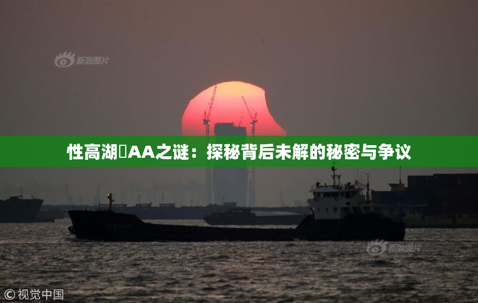 性高湖婬AA之谜：探秘背后未解的秘密与争议