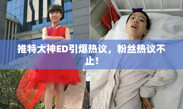 推特大神ED引爆热议，粉丝热议不止！