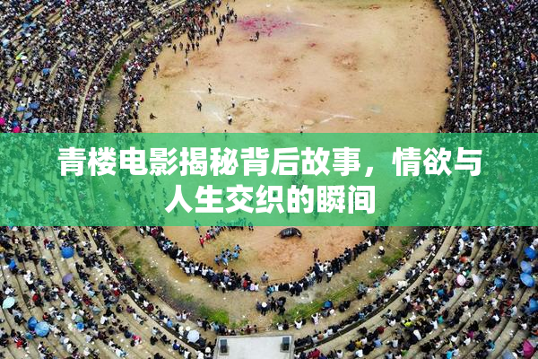 青楼电影揭秘背后故事，情欲与人生交织的瞬间