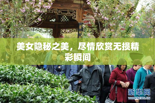 美女隐秘之美，尽情欣赏无损精彩瞬间