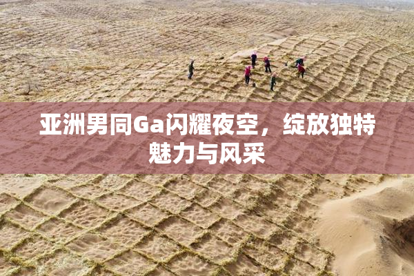 亚洲男同Ga闪耀夜空，绽放独特魅力与风采
