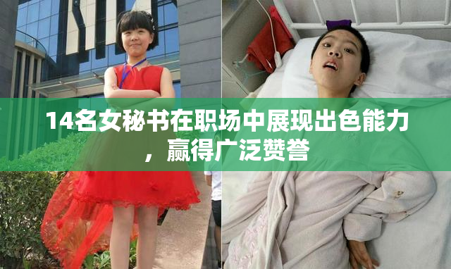 14名女秘书在职场中展现出色能力，赢得广泛赞誉