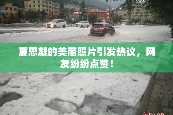 夏思凝的美丽照片引发热议，网友纷纷点赞！