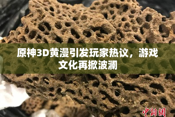 原神3D黄漫引发玩家热议，游戏文化再掀波澜