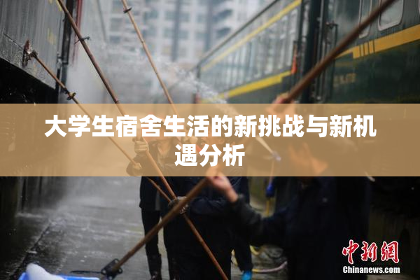 大学生宿舍生活的新挑战与新机遇分析