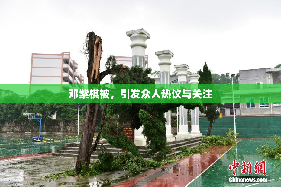 邓紫棋被，引发众人热议与关注