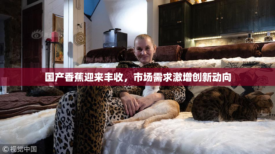 国产香蕉迎来丰收，市场需求激增创新动向