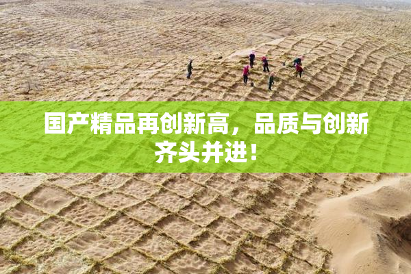 国产精品再创新高，品质与创新齐头并进！