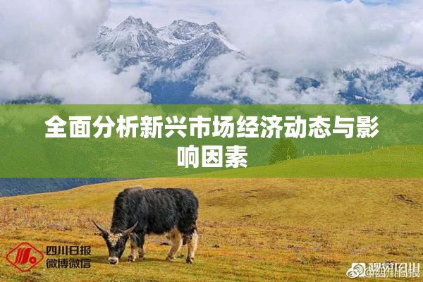 全面分析新兴市场经济动态与影响因素