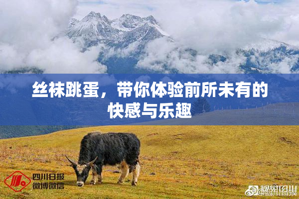 丝袜跳蛋，带你体验前所未有的快感与乐趣