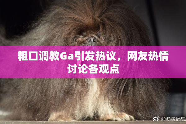 粗口调教Ga引发热议，网友热情讨论各观点