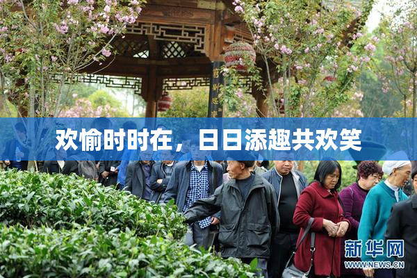 欢愉时时在，日日添趣共欢笑