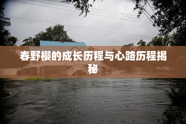 春野樱的成长历程与心路历程揭秘