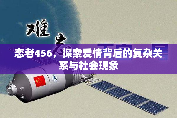 恋老456，探索爱情背后的复杂关系与社会现象