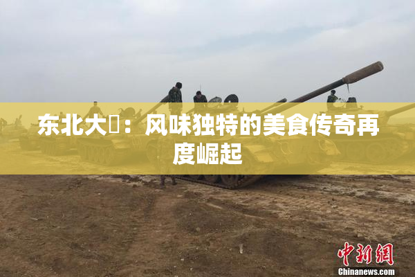 东北大鷄：风味独特的美食传奇再度崛起