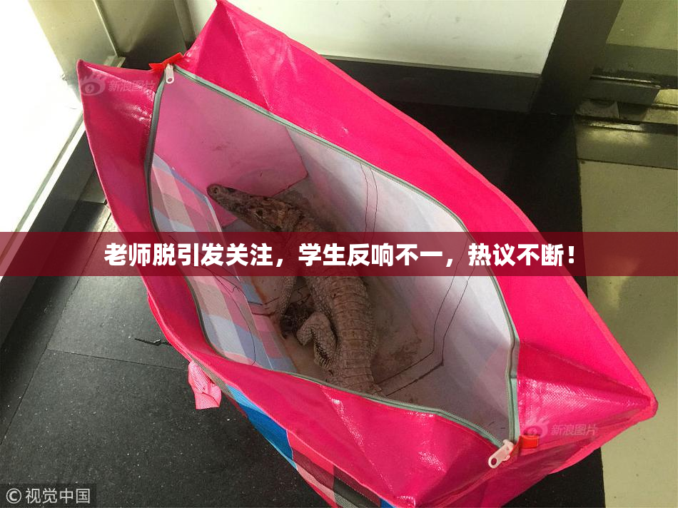 老师脱引发关注，学生反响不一，热议不断！