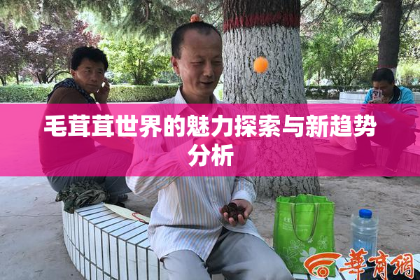 毛茸茸世界的魅力探索与新趋势分析