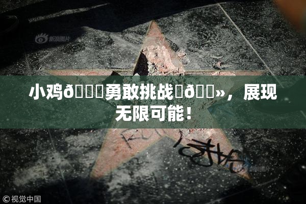 小鸡🐔勇敢挑战‌🐻，展现无限可能！