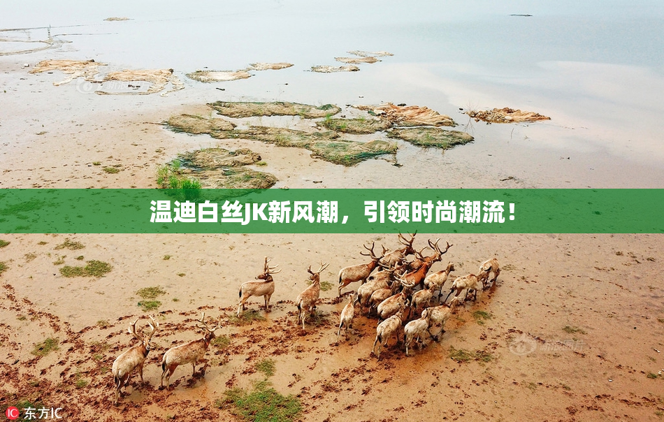 温迪白丝JK新风潮，引领时尚潮流！
