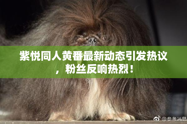 紫悦同人黄番最新动态引发热议，粉丝反响热烈！